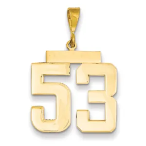 14k Yellow Gold Polished Finish Large Size Number 53 Charm Pendant