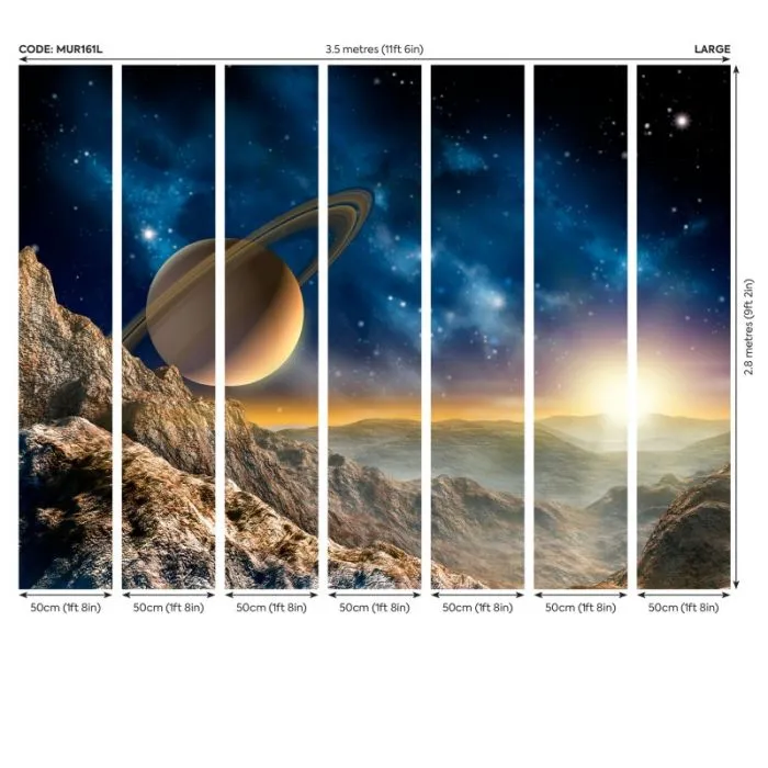 Origin Galaxy Wall Mural Multi