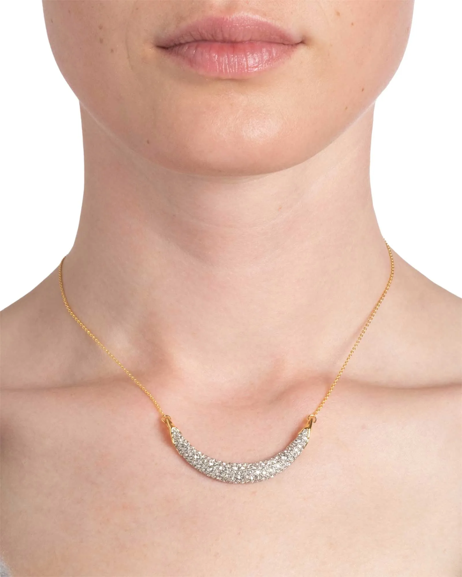 Solanales Crystal Crescent Necklace