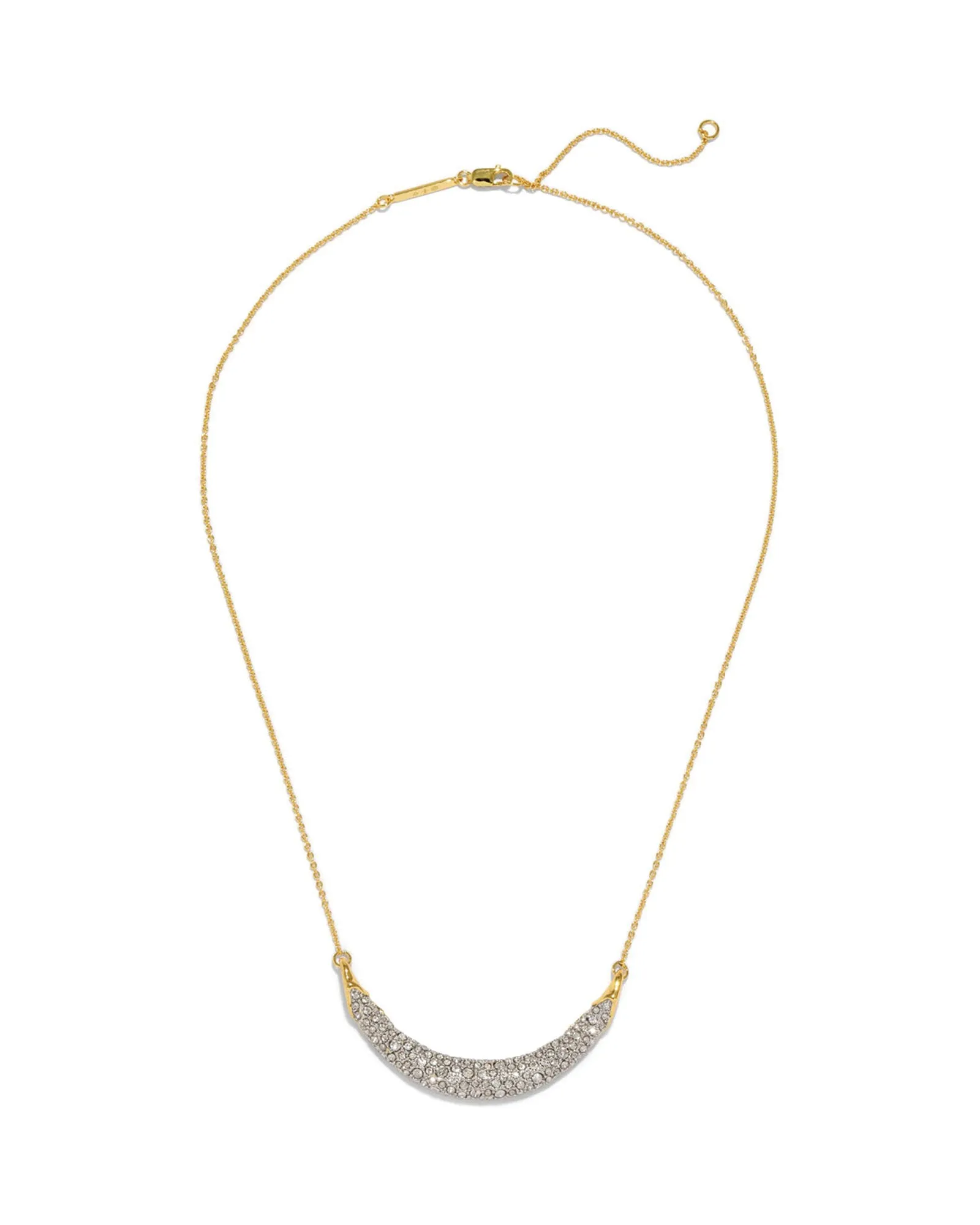 Solanales Crystal Crescent Necklace