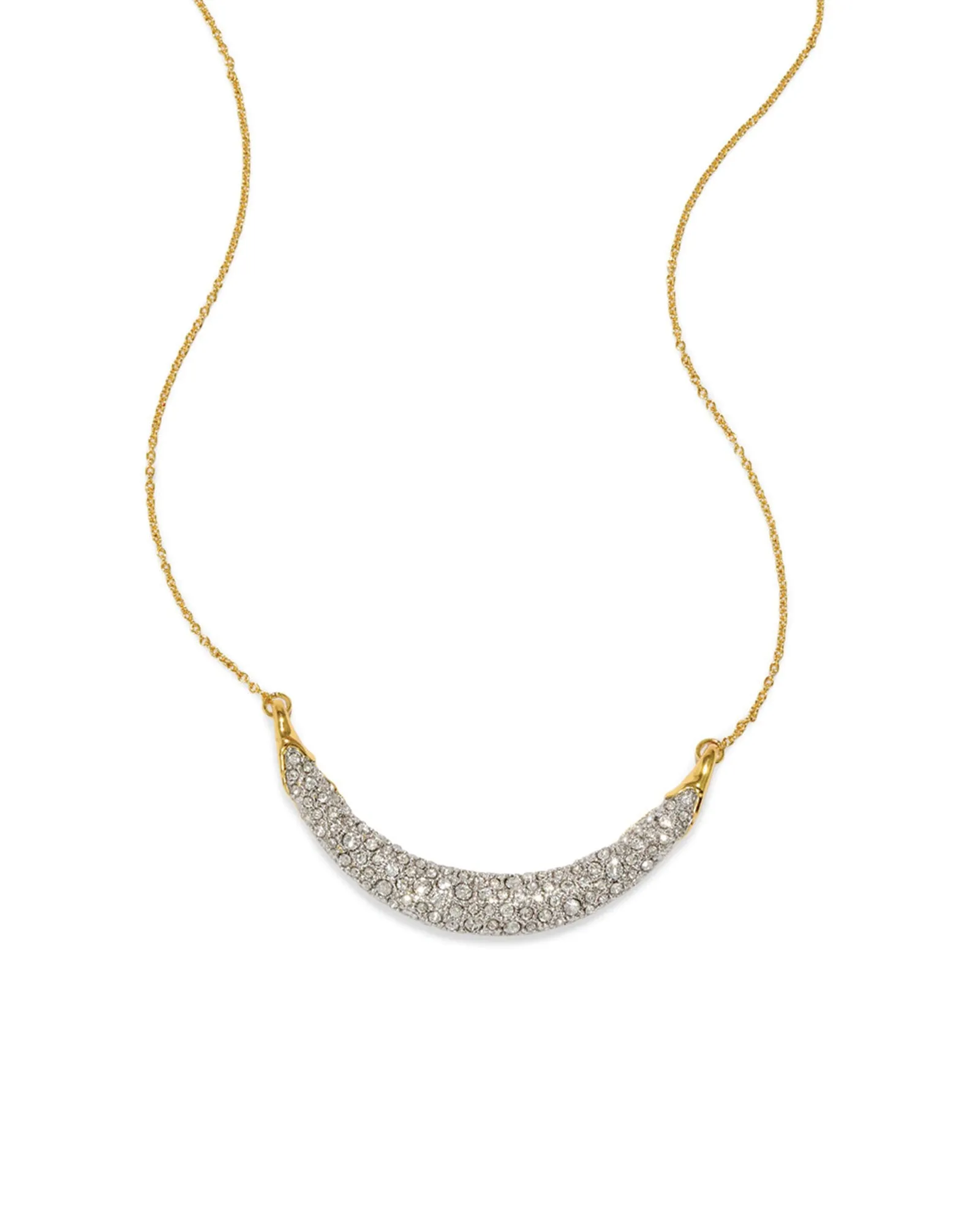 Solanales Crystal Crescent Necklace