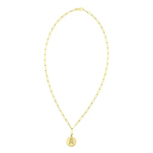 Tarnish Resistant 14k Gold Plated Pave Crystal Initial Disc Paperclip Necklace